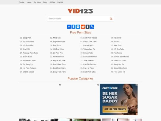 vid123.net